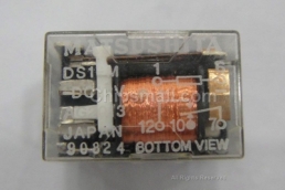 DS1-M-DC12V